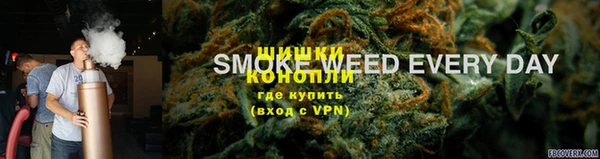 индика Балабаново