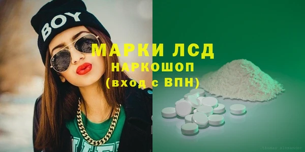индика Балабаново