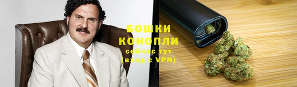 индика Балабаново