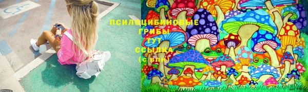 индика Балабаново