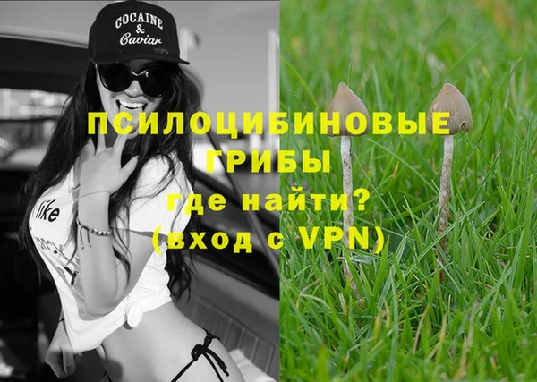 индика Балабаново