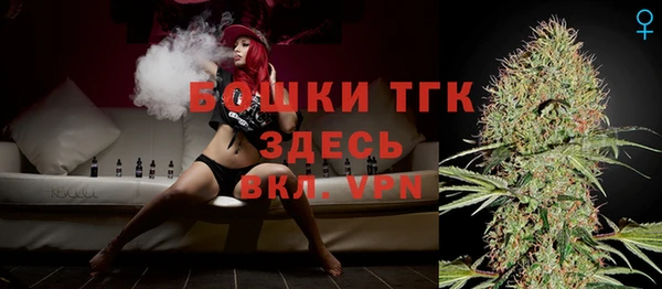 индика Балабаново